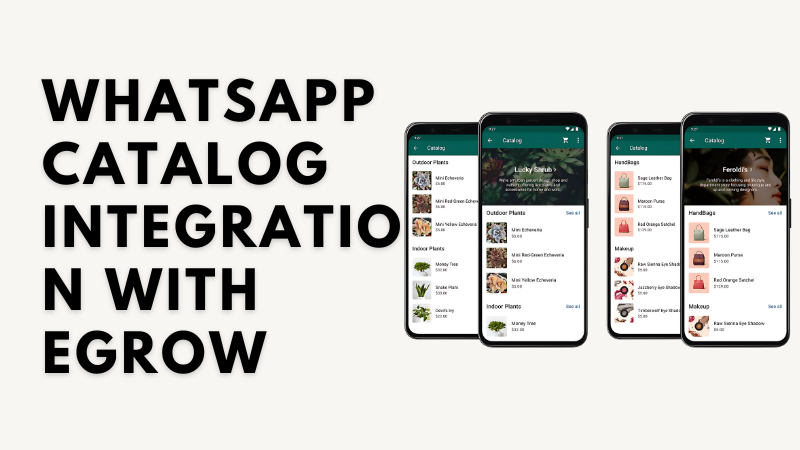 WhatsApp Catalog Integration with eGrow